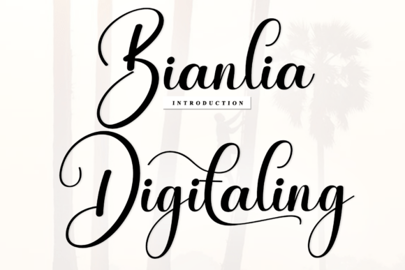 Why Bianlia Digitaling is a Designer's Secret Weapon
